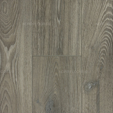 Toucan – Embossed In Register – TF6003 – 12.3mm Laminate Flooring